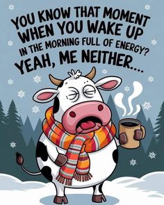 a cow wearing a scarf and holding a cup of coffee with the words you know that moment when you wake up in the morning full of energy yeah, me