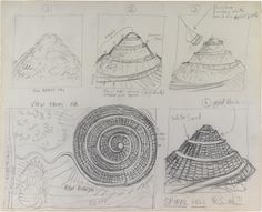 some sketches of different types of shells