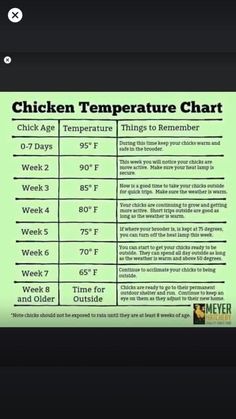 the chicken temperature chart is displayed on an iphone screen, and it's time to cook