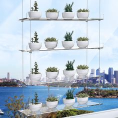 there are many potted plants on the shelves above the water's edge in front of a cityscape