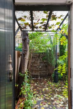 an open door leading to a garden with lots of leaves on the ground and trees