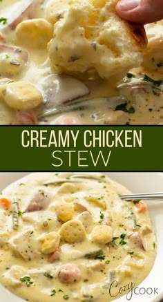 creamy chicken stew with potatoes and carrots in a white bowl