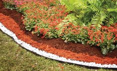 a flower bed with red and white flowers in the center, surrounded by green plants