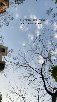 the sky is very blue and there are trees in front of it with words above them