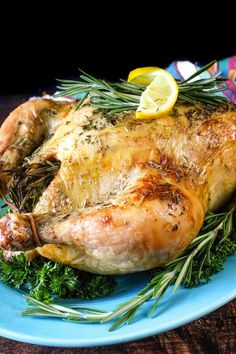 a roasted chicken with herbs and lemons on a blue plate