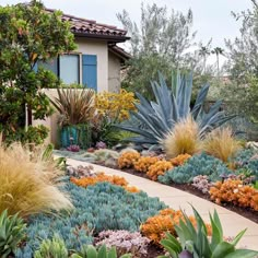 an outdoor garden with colorful plants and flowers