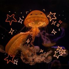 a jellyfish is floating in the water with stars around it's neck and head