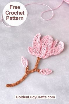 a crocheted flower is shown with the text free crochet pattern