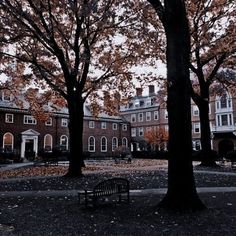 an empty park with benches and trees in the fall