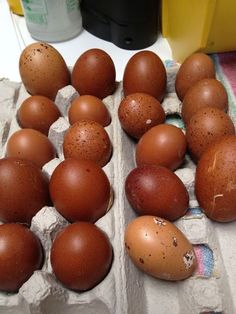 brown eggs in an egg carton on a table