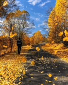 a person walking down a road in the middle of autumn with yellow leaves on the ground