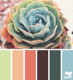 an image of a plant with color swatches