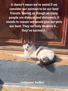 a black and white cat laying on the ground in front of a door with a quote from unknown author