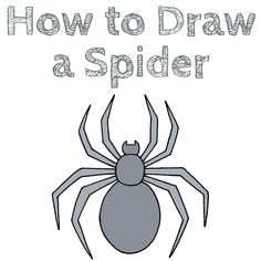 a spider with the words how to draw a spider on it's back side