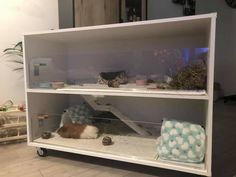 a shelf with some animals in it