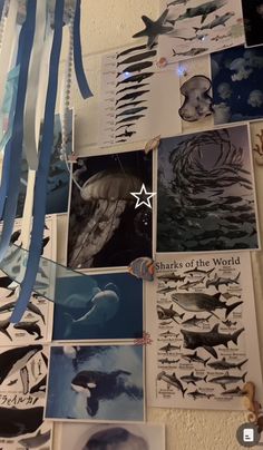 many pictures are hanging on the wall with blue streamers attached to it and one star is above them