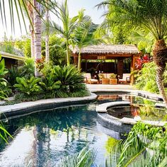 an outdoor pool surrounded by palm trees and greenery with a gazebo in the background