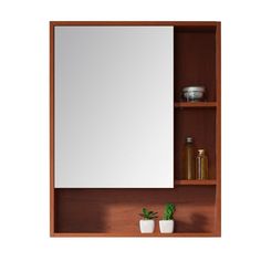 a bathroom mirror sitting on top of a wooden shelf next to a potted plant