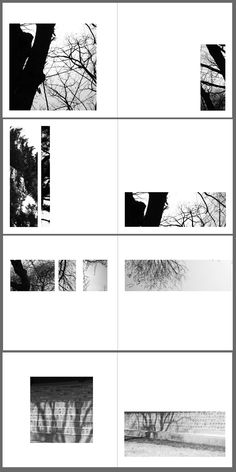 several different black and white images with trees