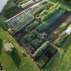 an aerial view of a garden with lots of plants