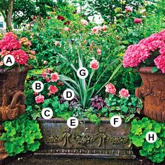 flowers and plants are shown in the garden with their names on each planter's side