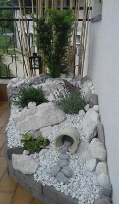 an outdoor garden with rocks and plants