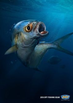 a large fish with its mouth open in the blue water near some other small fish