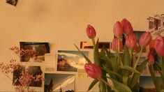 pink tulips are in a vase next to pictures and photos on the wall