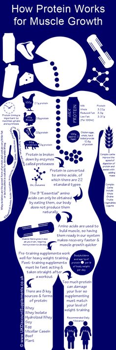 how protein works Feel Energized, Muscle Protein, Muscles In Your Body, Muscle Growth, Health Info, Mens Health, Fitness Nutrition, Weight Training, Fitness Diet