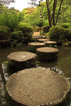 stepping stones in the middle of a river