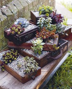 several wooden boxes filled with succulents sitting on top of a wooden table