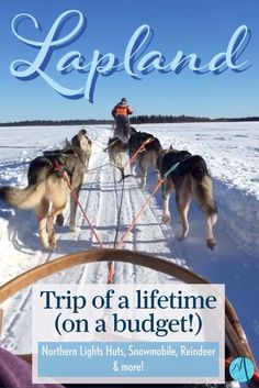 two dogs pulling a sled with the words lapland on it in front of them