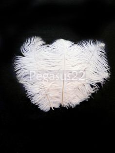 white feathers are arranged in the shape of a heart