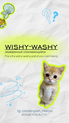 an advertisement for a cat sitting on top of a piece of paper with the caption wishy - washy