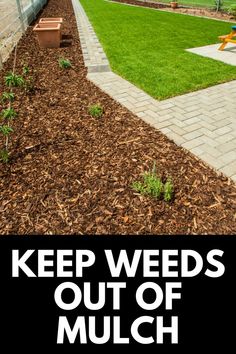 a yard with mulch and grass in it