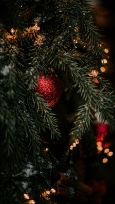 a red ornament hanging from the branches of a christmas tree with lights in the background