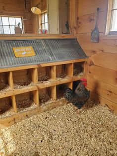 two chickens are in their coop on the farm