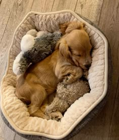 a small brown dog laying in a bed with stuffed animals