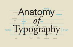 the anatomy of typography, with words in black and white on it