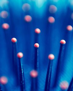 close up view of the center of a blue and red object with small dots on it