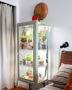 a glass case with plants in it sitting on top of a bed