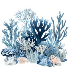 an underwater scene with corals and seaweed