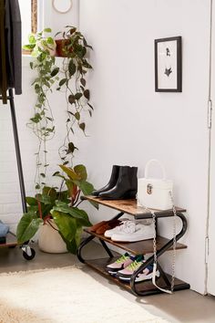 a shoe rack with shoes on it next to a potted plant in a room