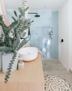 a bathroom with a sink, mirror and plants in it