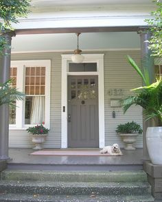 a dog is laying on the steps in front of a house with potted plants