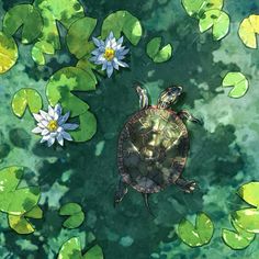 a painting of a turtle and water lilies