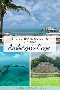 the ultimate guide to visiting amergus caye