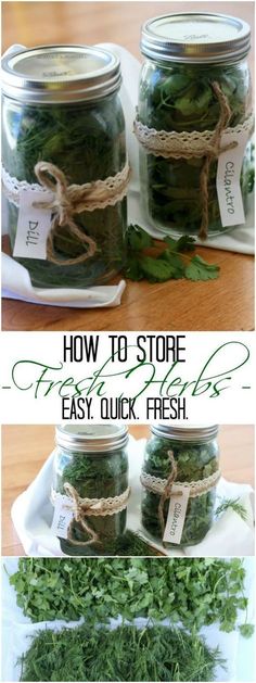 three jars filled with fresh herbs and labeled how to store fresh herbs easy quick fresh