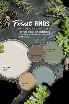 the forest finds paint palette is shown with pine cones and evergreen leaves on it, along with other colors