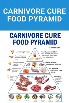 Carnivore Cure Food Pyramid The Carnivore Diet, Always Evolving, Fruit Diet, What Can I Eat